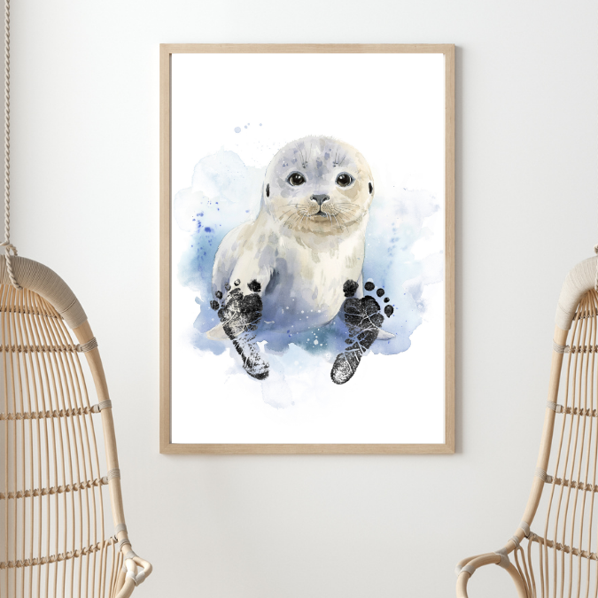 Kit empreintes bébé phoque